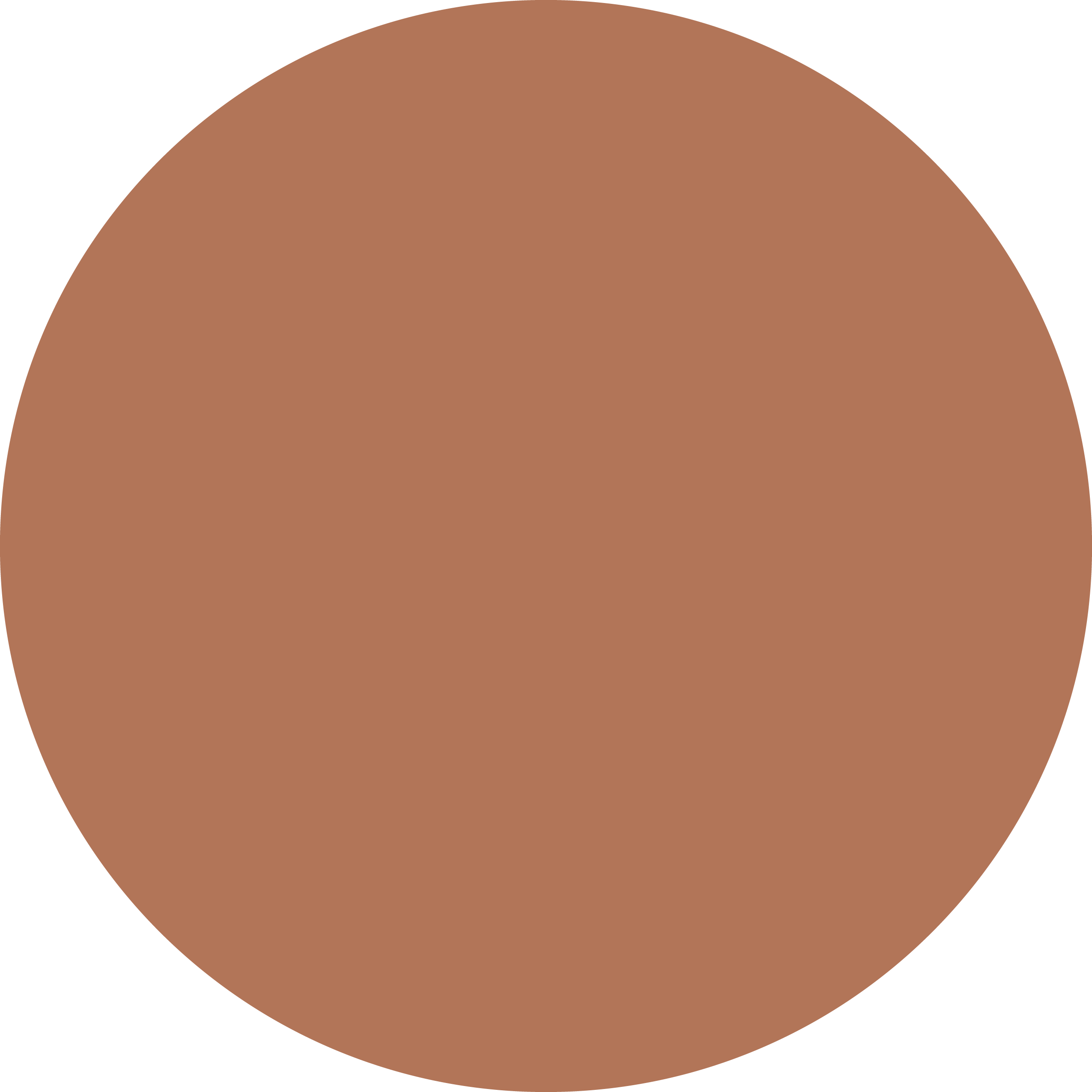 Logo of Irafeus Brand